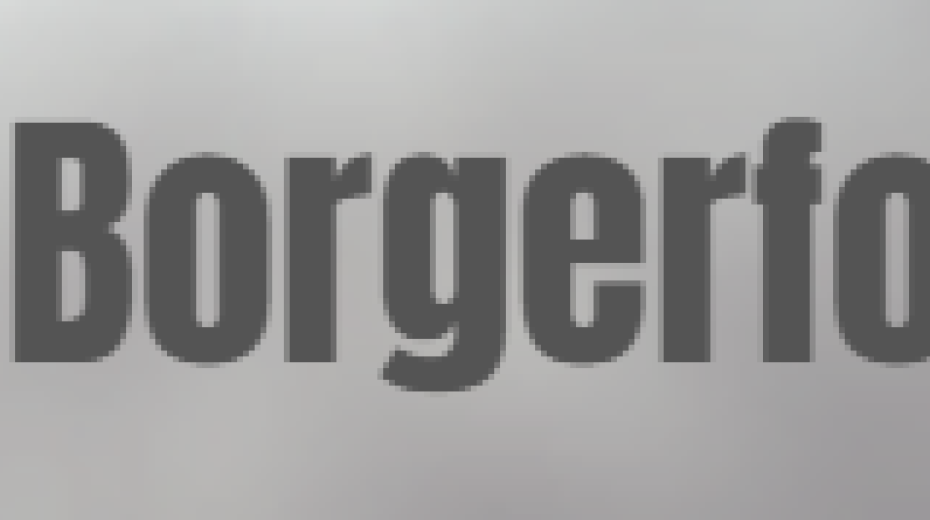 Sejet Borgerforening
